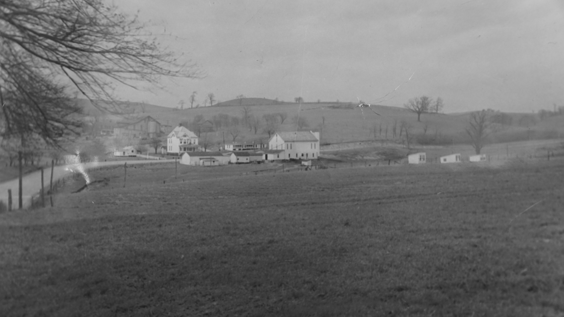 Logan Family Farms, LLC photo 4